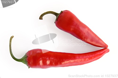 Image of Two pods of hot pepper