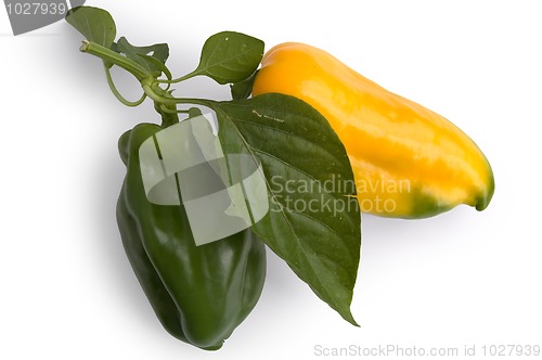 Image of Two sweet pepper