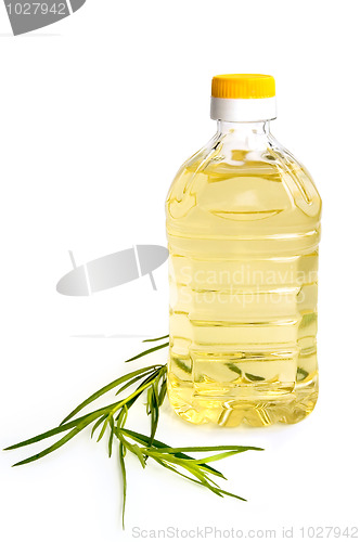 Image of Vegetable oil with tarragon