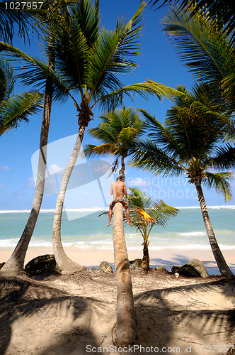 Image of Man sitting on palm