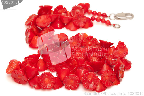 Image of Red Coral Beads isolated