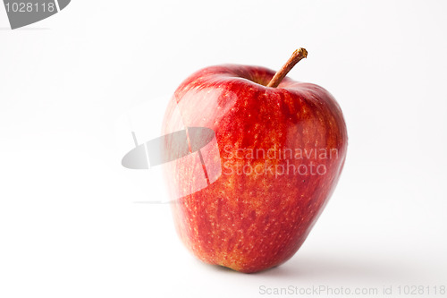 Image of Red apple