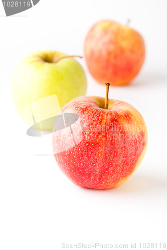 Image of Apples on white