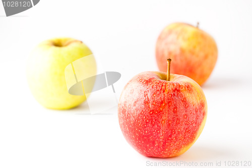 Image of Apples on white