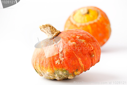 Image of Pumpkins