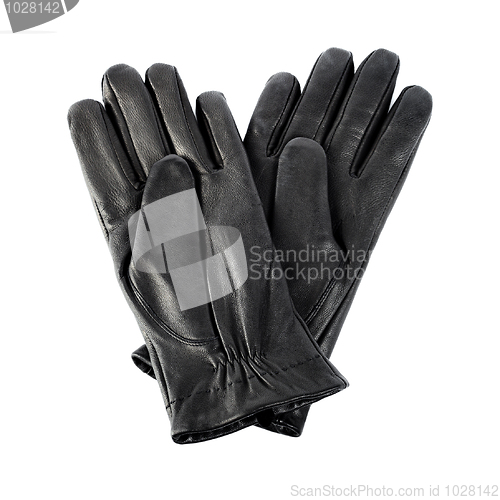 Image of New gloves