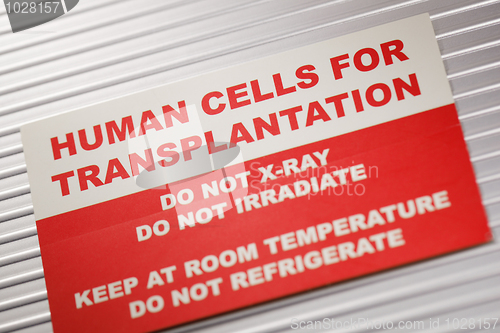 Image of Human Cells for Transplantation