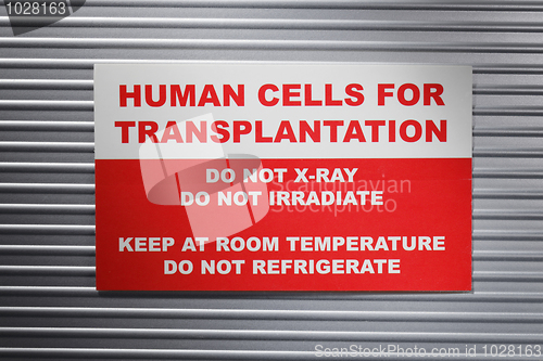 Image of Human cells for transplantation