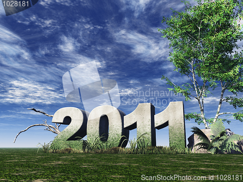 Image of year 2011