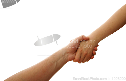 Image of Handshake