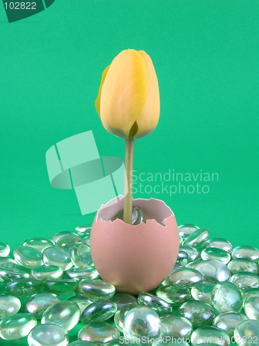 Image of Easter decoration