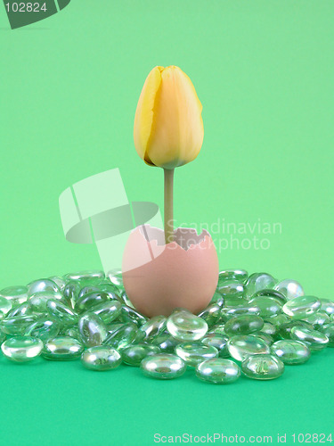 Image of Easter decoration