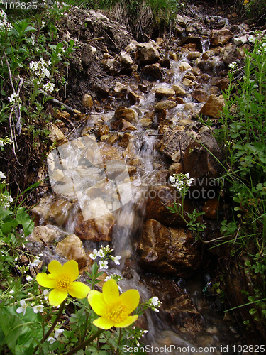 Image of Spring