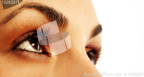 Image of Brown eye
