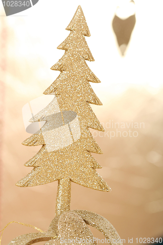 Image of Christmas tree