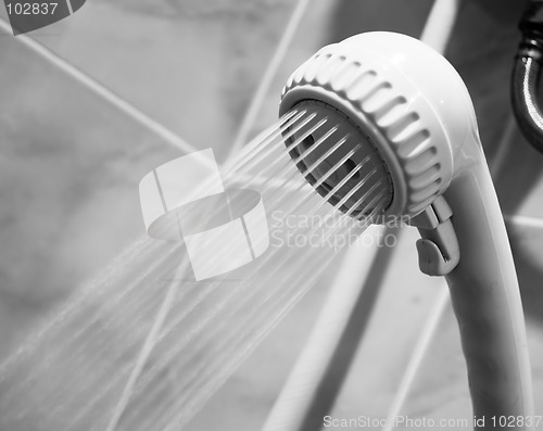 Image of Showerhead