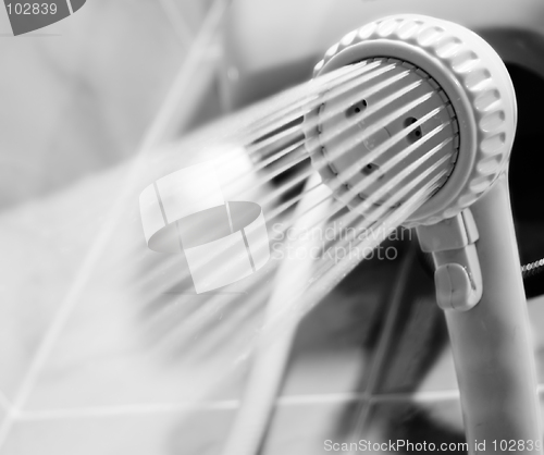 Image of Showerhead