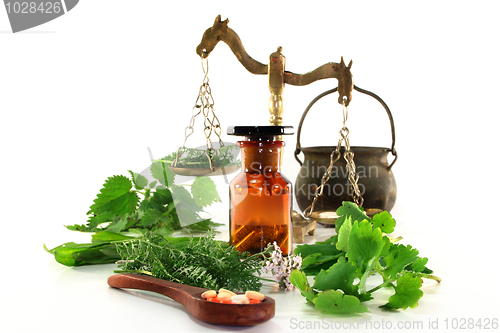 Image of Naturopathy