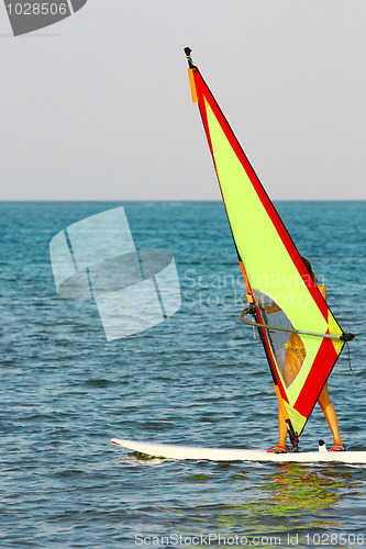 Image of Windsurfing