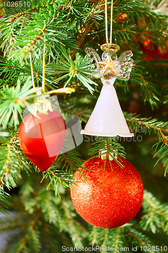 Image of Christmas tree