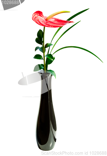 Image of Red Anthurium flower in a vase