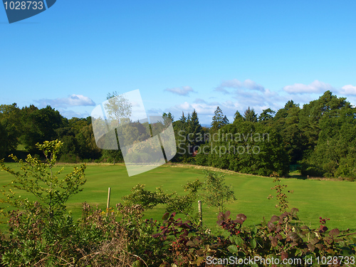 Image of Cardross hill