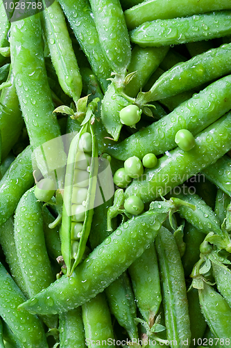 Image of Washed green peas