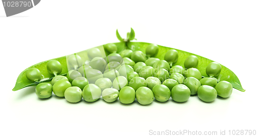 Image of Green pea pod and seeds