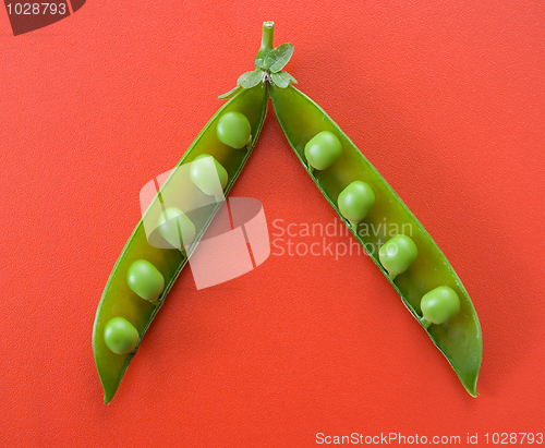 Image of Green pea pod