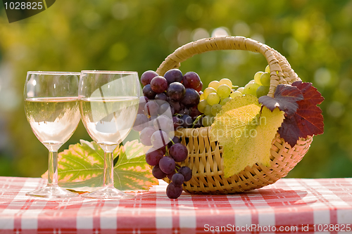 Image of Wine and grape
