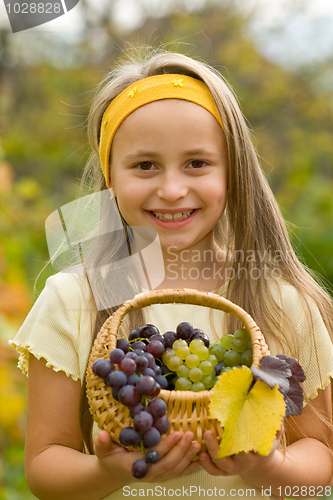 Image of Grapes in basket