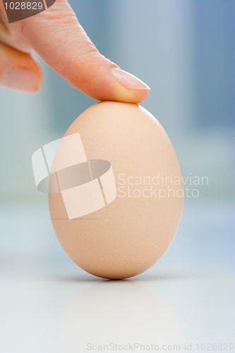 Image of Egg