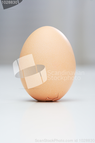 Image of Egg of Columbus