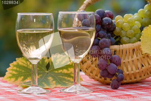 Image of Wine and grape