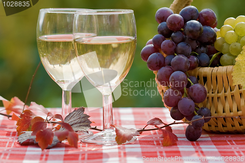 Image of Wine and grape