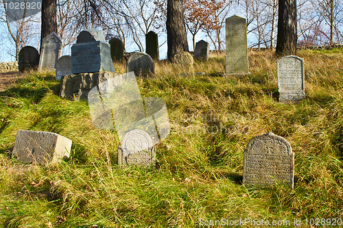 Image of forgotten and unkempt Jewish cemetery with the strangers