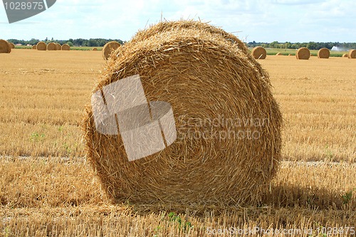 Image of haystack