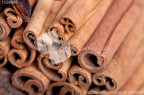 Image of Cinnamon Sticks