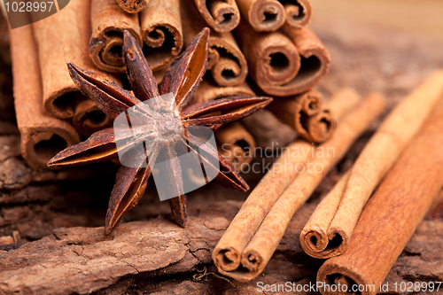 Image of Anise and Cinnamon