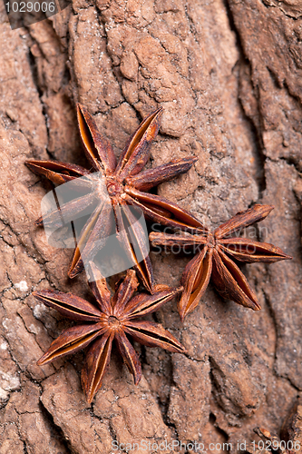 Image of Anise stars