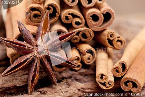 Image of Anise and Cinnamon