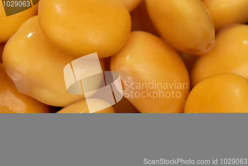 Image of Lupin beans