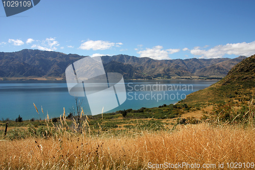 Image of New Zealand