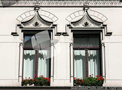 Image of Old windows