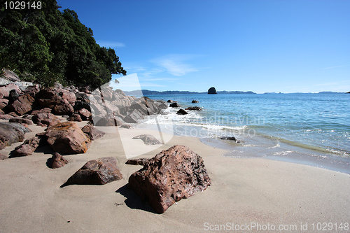 Image of Coromandel Peninsula