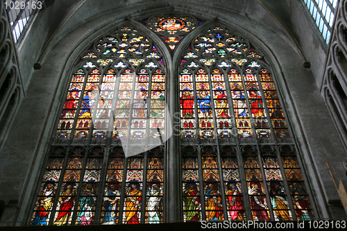 Image of Bruges cathedral