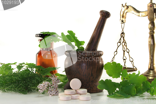 Image of Naturopathy