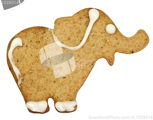 Image of Gingerbread elephant