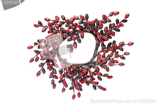 Image of Circular Christmas arrangement