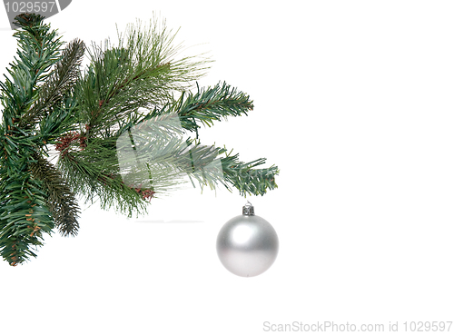 Image of Christmas decoration